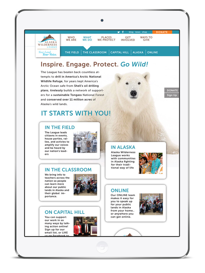 Nonprofit website design to drive donations and raise awareness