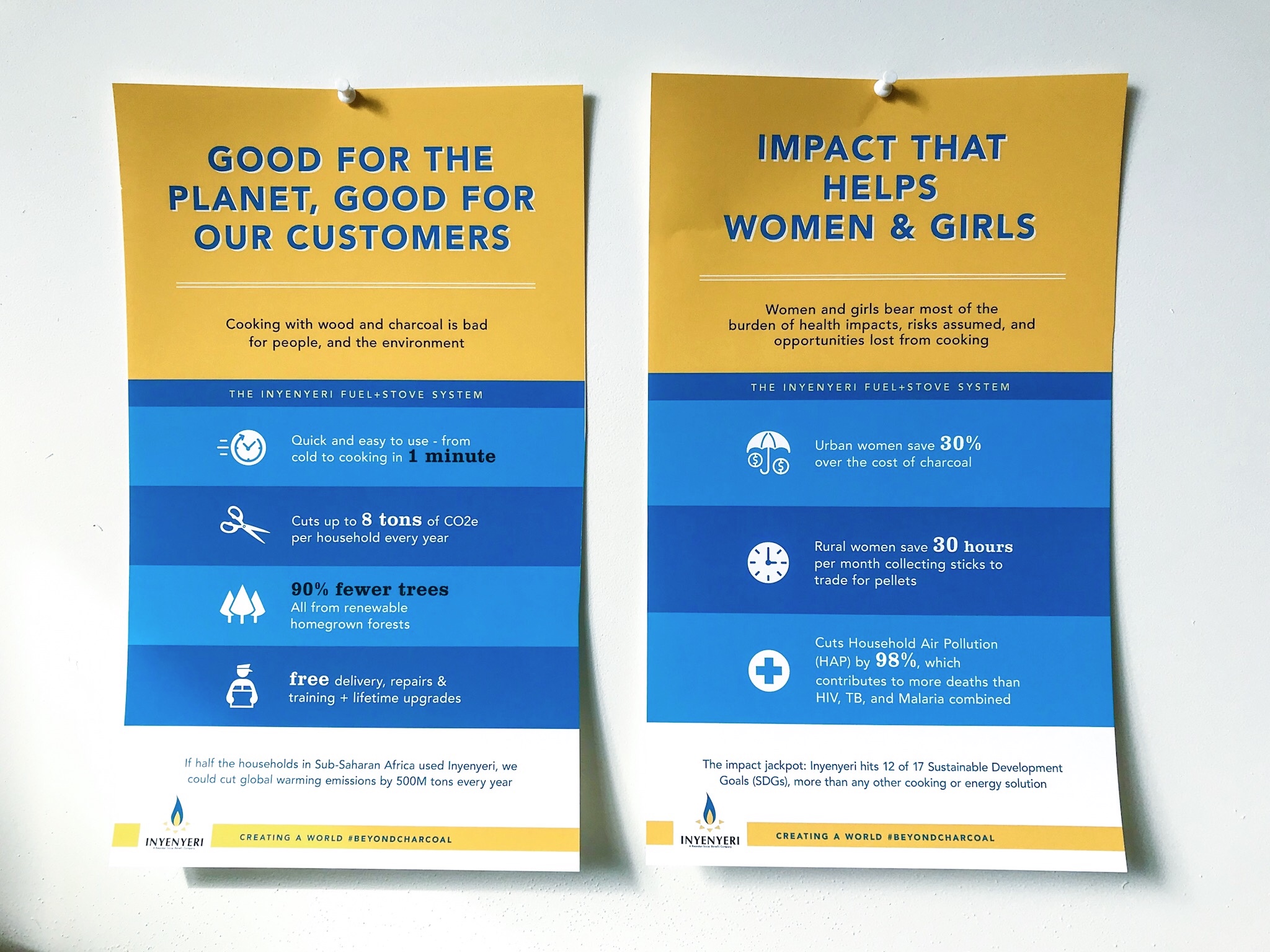 poster and banner design for nonprofit, environmental justice